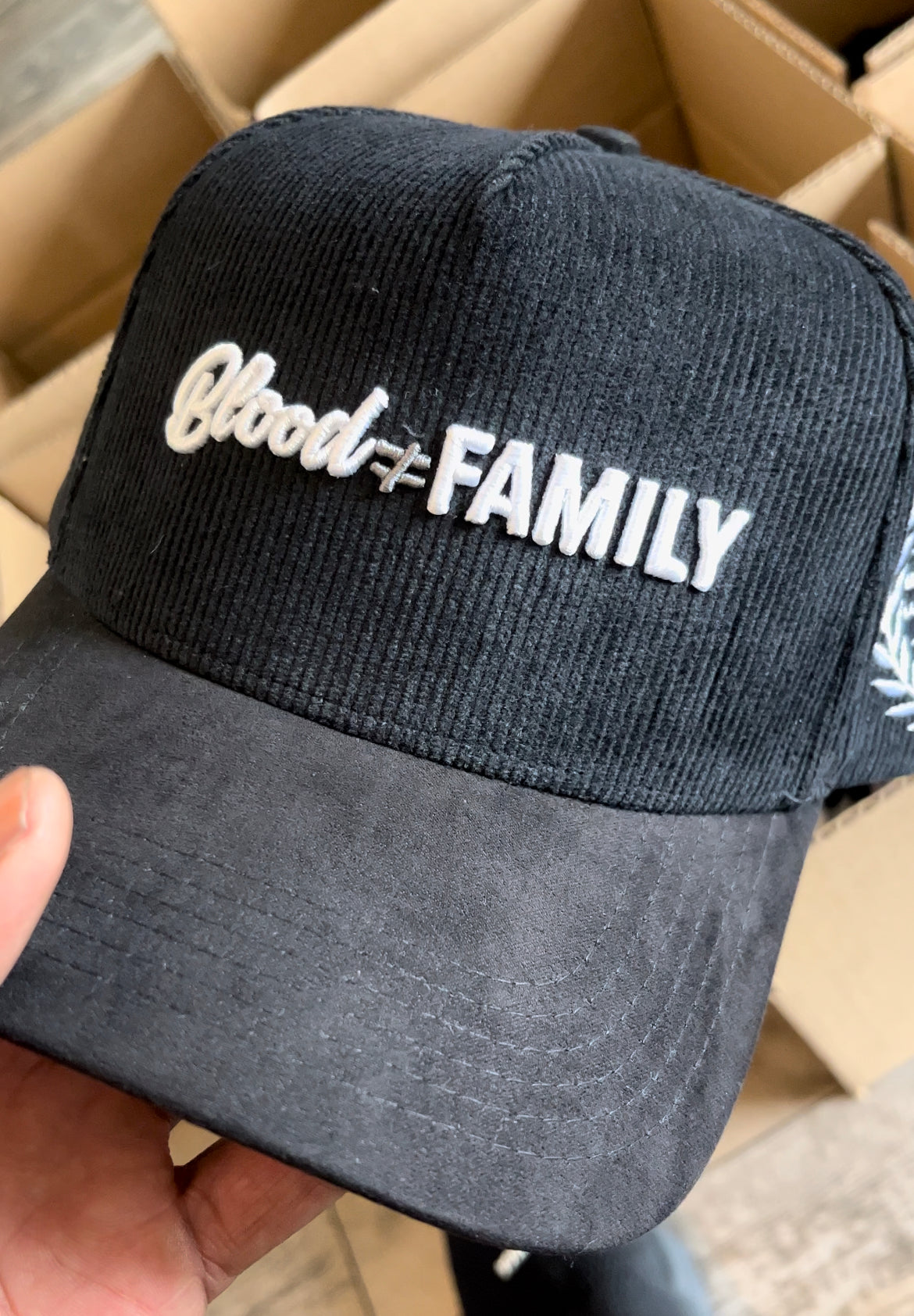 Blood ≠ Family SnapBack
